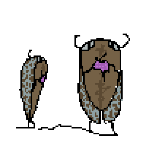 two cicadas knitting